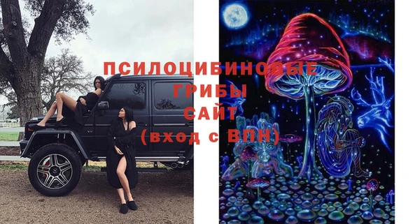 СК Горняк