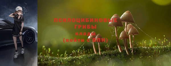 мяу мяу мука Гусь-Хрустальный