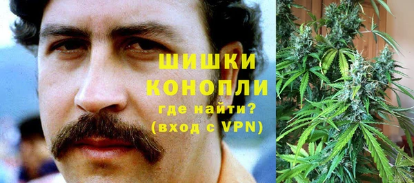 мяу мяу мука Гусь-Хрустальный