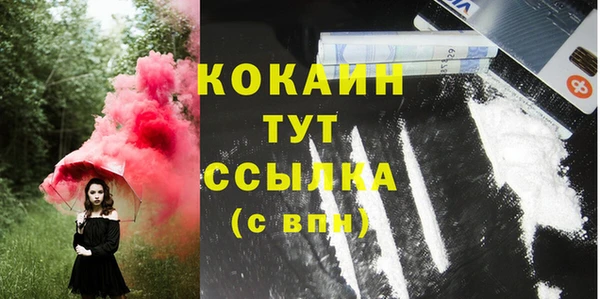 мяу мяу мука Гусь-Хрустальный