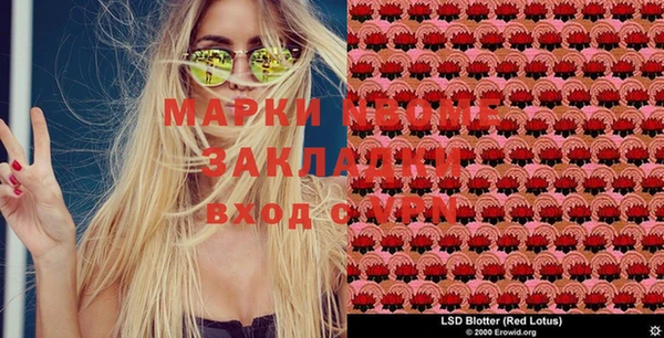 мяу мяу мука Гусь-Хрустальный