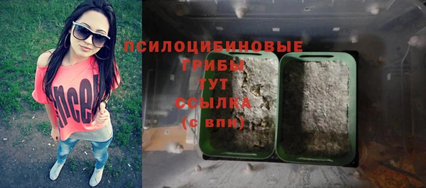 мяу мяу мука Гусь-Хрустальный