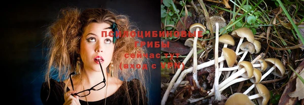 мяу мяу мука Гусь-Хрустальный